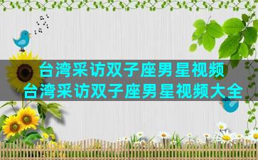 台湾采访双子座男星视频 台湾采访双子座男星视频大全